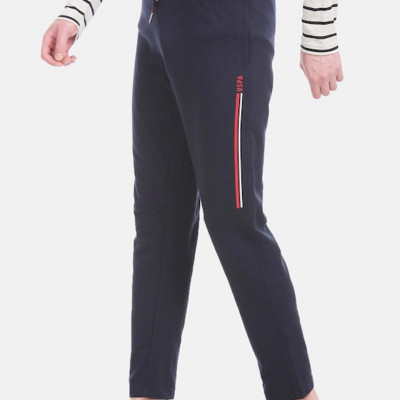 Men Navy Blue Striped Pants