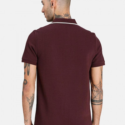 Men Maroon Collar T-shirt